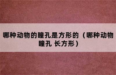 哪种动物的瞳孔是方形的（哪种动物瞳孔 长方形）